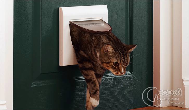 Дверца для Кошек в Дверь Своими Руками — пошаговая инструкция